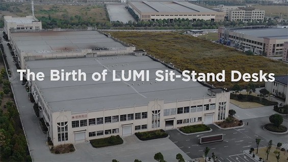 The Birth of LUMI Sit-Stand Desk